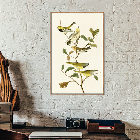 INVIN ART Framed Canvas Series#144 by John James Audubon Wall Art Living Room Home Office Decorations