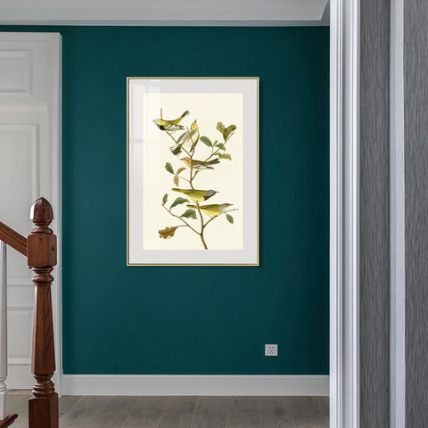 INVIN ART Metal Framed Canvas Series#144 by John James Audubon Wall Art Living Room Home Office Decorations