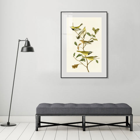 INVIN ART Metal Framed Canvas Series#144 by John James Audubon Wall Art Living Room Home Office Decorations