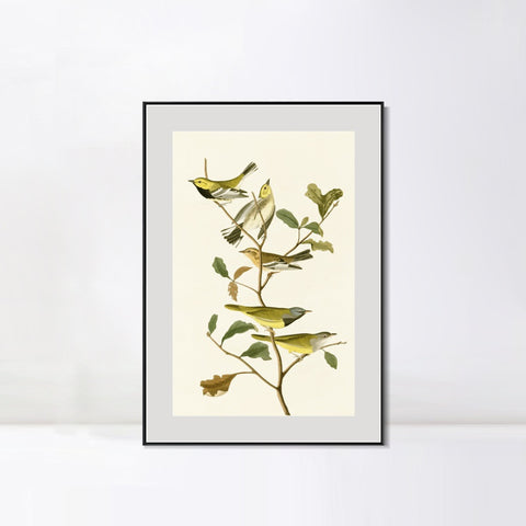 INVIN ART Metal Framed Canvas Series#144 by John James Audubon Wall Art Living Room Home Office Decorations