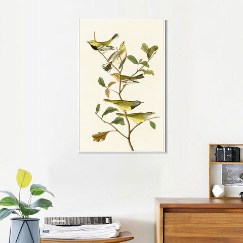INVIN ART Framed Canvas Series#144 by John James Audubon Wall Art Living Room Home Office Decorations