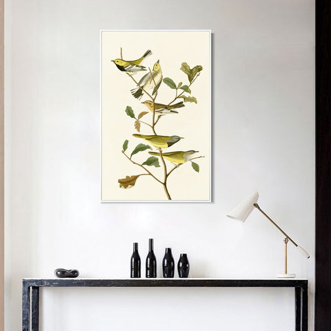 INVIN ART Framed Canvas Series#144 by John James Audubon Wall Art Living Room Home Office Decorations