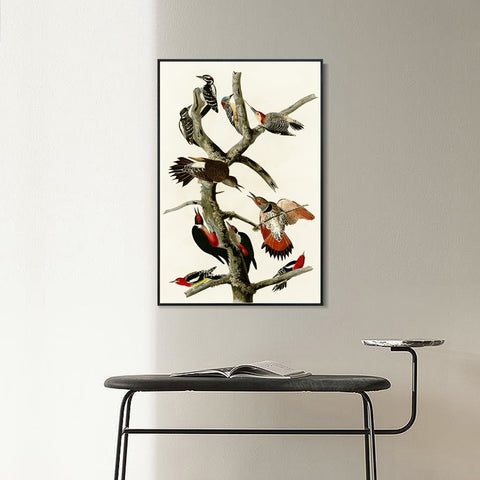 INVIN ART Framed Canvas Series#145 by John James Audubon Wall Art Living Room Home Office Decorations