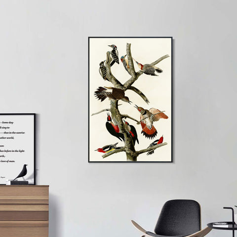 INVIN ART Framed Canvas Series#145 by John James Audubon Wall Art Living Room Home Office Decorations