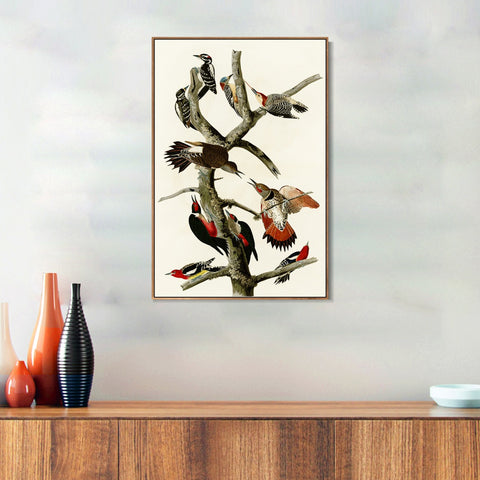 INVIN ART Framed Canvas Series#145 by John James Audubon Wall Art Living Room Home Office Decorations