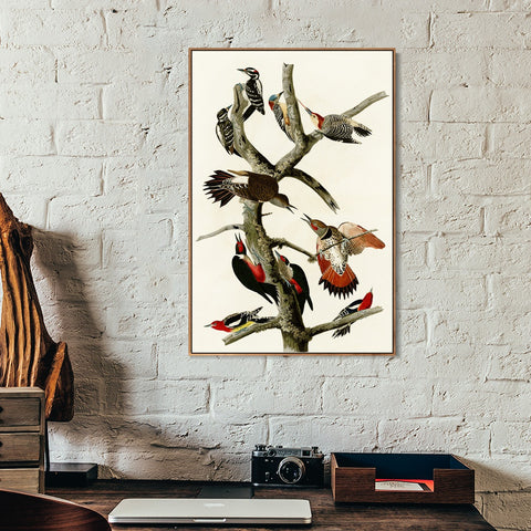 INVIN ART Framed Canvas Series#145 by John James Audubon Wall Art Living Room Home Office Decorations