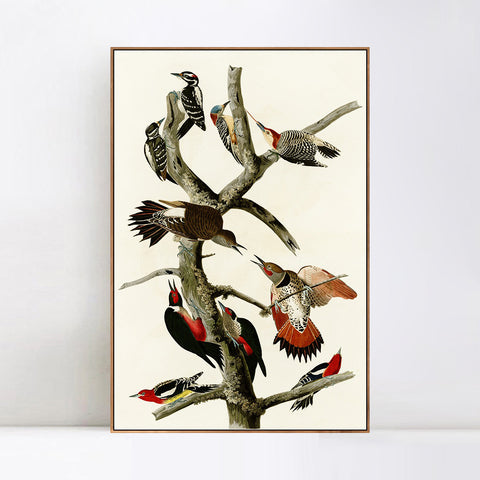 INVIN ART Framed Canvas Series#145 by John James Audubon Wall Art Living Room Home Office Decorations