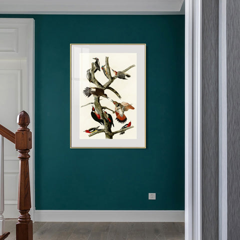INVIN ART Metal Framed Canvas Series#145 by John James Audubon Wall Art Living Room Home Office Decorations