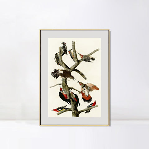 INVIN ART Metal Framed Canvas Series#145 by John James Audubon Wall Art Living Room Home Office Decorations