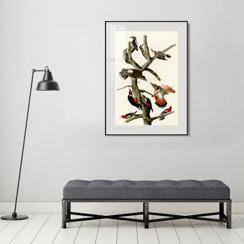 INVIN ART Metal Framed Canvas Series#145 by John James Audubon Wall Art Living Room Home Office Decorations