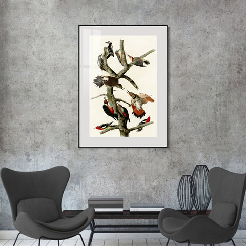 INVIN ART Metal Framed Canvas Series#145 by John James Audubon Wall Art Living Room Home Office Decorations