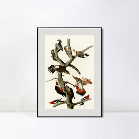 INVIN ART Metal Framed Canvas Series#145 by John James Audubon Wall Art Living Room Home Office Decorations