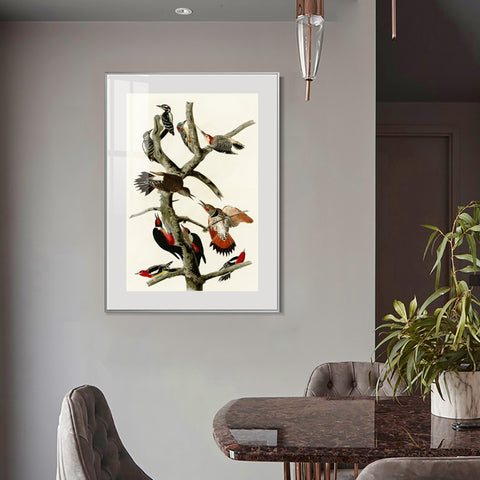 INVIN ART Metal Framed Canvas Series#145 by John James Audubon Wall Art Living Room Home Office Decorations