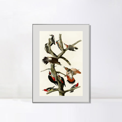 INVIN ART Metal Framed Canvas Series#145 by John James Audubon Wall Art Living Room Home Office Decorations