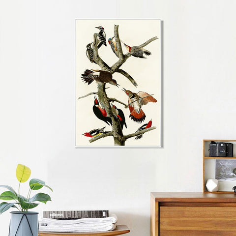 INVIN ART Framed Canvas Series#145 by John James Audubon Wall Art Living Room Home Office Decorations