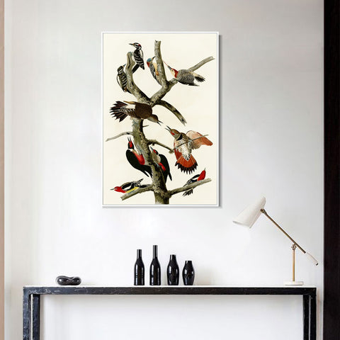 INVIN ART Framed Canvas Series#145 by John James Audubon Wall Art Living Room Home Office Decorations