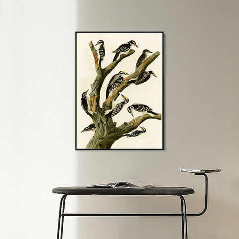 INVIN ART Framed Canvas Series#146 by John James Audubon Wall Art Living Room Home Office Decorations