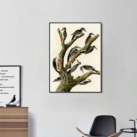 INVIN ART Framed Canvas Series#146 by John James Audubon Wall Art Living Room Home Office Decorations