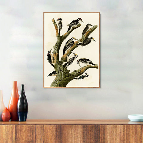 INVIN ART Framed Canvas Series#146 by John James Audubon Wall Art Living Room Home Office Decorations