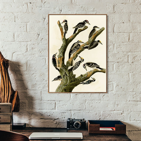 INVIN ART Framed Canvas Series#146 by John James Audubon Wall Art Living Room Home Office Decorations