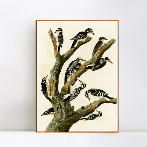 INVIN ART Framed Canvas Series#146 by John James Audubon Wall Art Living Room Home Office Decorations