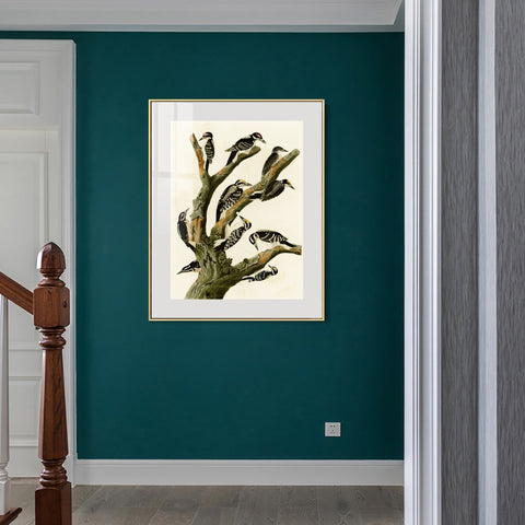 INVIN ART Metal Framed Canvas Series#146 by John James Audubon Wall Art Living Room Home Office Decorations