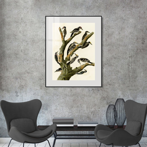 INVIN ART Metal Framed Canvas Series#146 by John James Audubon Wall Art Living Room Home Office Decorations