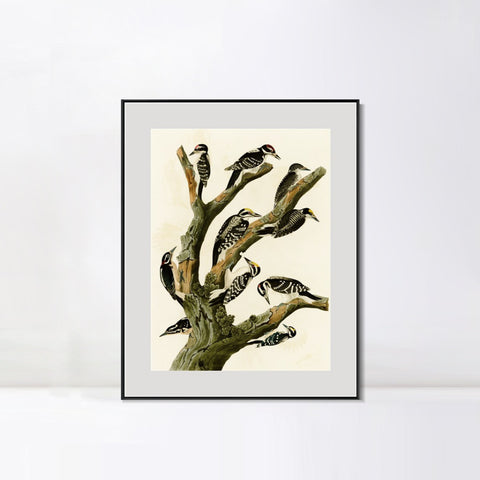 INVIN ART Metal Framed Canvas Series#146 by John James Audubon Wall Art Living Room Home Office Decorations