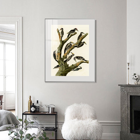 INVIN ART Metal Framed Canvas Series#146 by John James Audubon Wall Art Living Room Home Office Decorations
