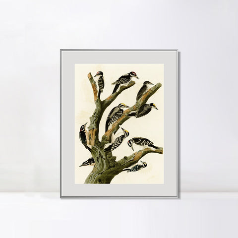 INVIN ART Metal Framed Canvas Series#146 by John James Audubon Wall Art Living Room Home Office Decorations