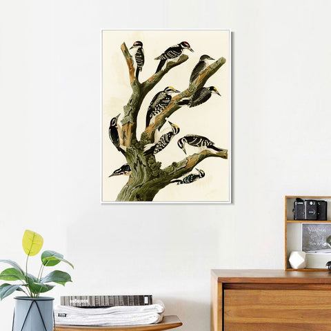 INVIN ART Framed Canvas Series#146 by John James Audubon Wall Art Living Room Home Office Decorations