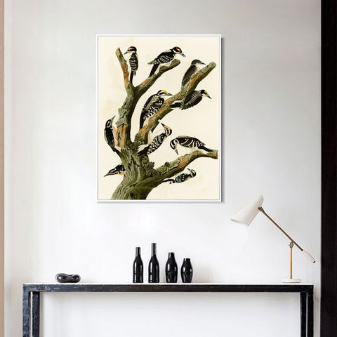 INVIN ART Framed Canvas Series#146 by John James Audubon Wall Art Living Room Home Office Decorations