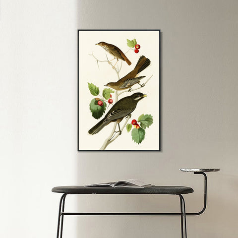 INVIN ART Framed Canvas Series#147 by John James Audubon Wall Art Living Room Home Office Decorations