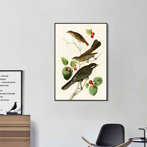 INVIN ART Framed Canvas Series#147 by John James Audubon Wall Art Living Room Home Office Decorations
