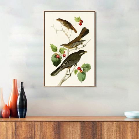 INVIN ART Framed Canvas Series#147 by John James Audubon Wall Art Living Room Home Office Decorations