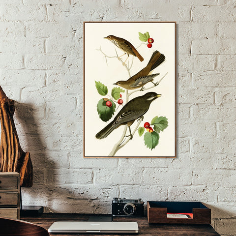 INVIN ART Framed Canvas Series#147 by John James Audubon Wall Art Living Room Home Office Decorations