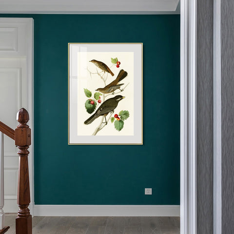 INVIN ART Metal Framed Canvas Series#147 by John James Audubon Wall Art Living Room Home Office Decorations