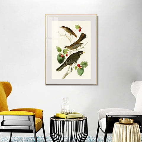 INVIN ART Metal Framed Canvas Series#147 by John James Audubon Wall Art Living Room Home Office Decorations