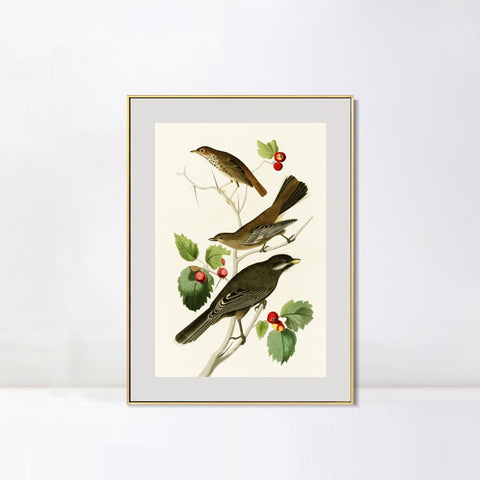 INVIN ART Metal Framed Canvas Series#147 by John James Audubon Wall Art Living Room Home Office Decorations