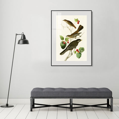 INVIN ART Metal Framed Canvas Series#147 by John James Audubon Wall Art Living Room Home Office Decorations