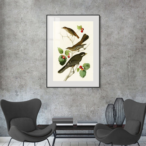 INVIN ART Metal Framed Canvas Series#147 by John James Audubon Wall Art Living Room Home Office Decorations