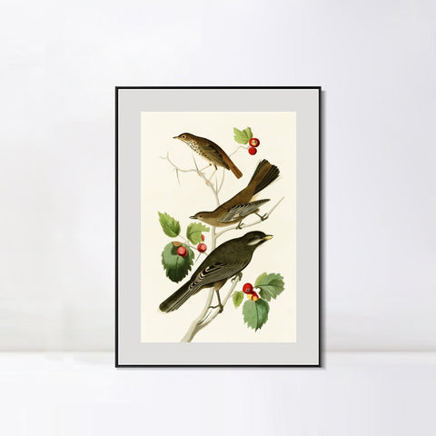 INVIN ART Metal Framed Canvas Series#147 by John James Audubon Wall Art Living Room Home Office Decorations