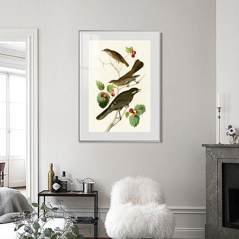 INVIN ART Metal Framed Canvas Series#147 by John James Audubon Wall Art Living Room Home Office Decorations