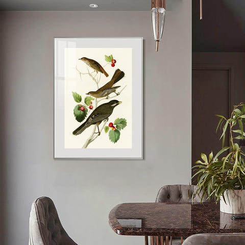 INVIN ART Metal Framed Canvas Series#147 by John James Audubon Wall Art Living Room Home Office Decorations