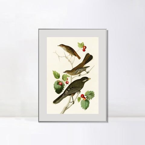 INVIN ART Metal Framed Canvas Series#147 by John James Audubon Wall Art Living Room Home Office Decorations