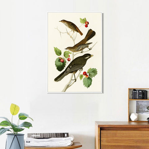 INVIN ART Framed Canvas Series#147 by John James Audubon Wall Art Living Room Home Office Decorations