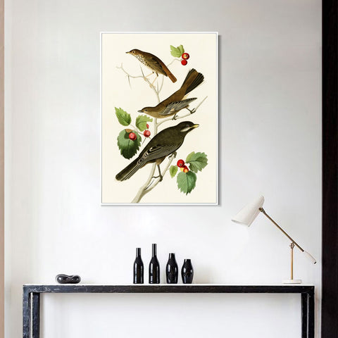 INVIN ART Framed Canvas Series#147 by John James Audubon Wall Art Living Room Home Office Decorations