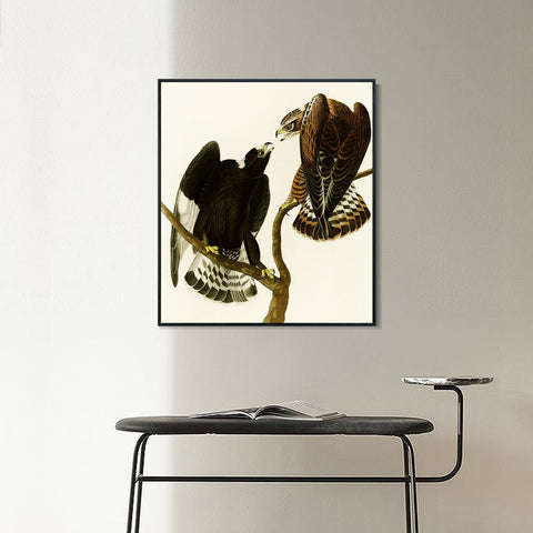 INVIN ART Framed Canvas Series#148 by John James Audubon Wall Art Living Room Home Office Decorations
