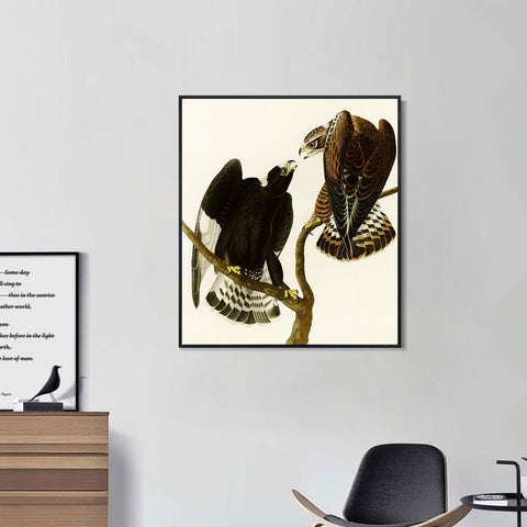 INVIN ART Framed Canvas Series#148 by John James Audubon Wall Art Living Room Home Office Decorations