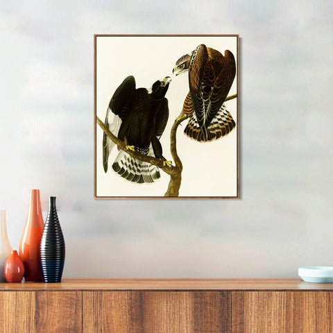 INVIN ART Framed Canvas Series#148 by John James Audubon Wall Art Living Room Home Office Decorations
